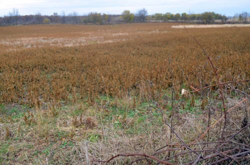 Property photo 37 - 80 Acres & Home - Property Offered in 4 Tracts from 2.3 to 30.0 Acres